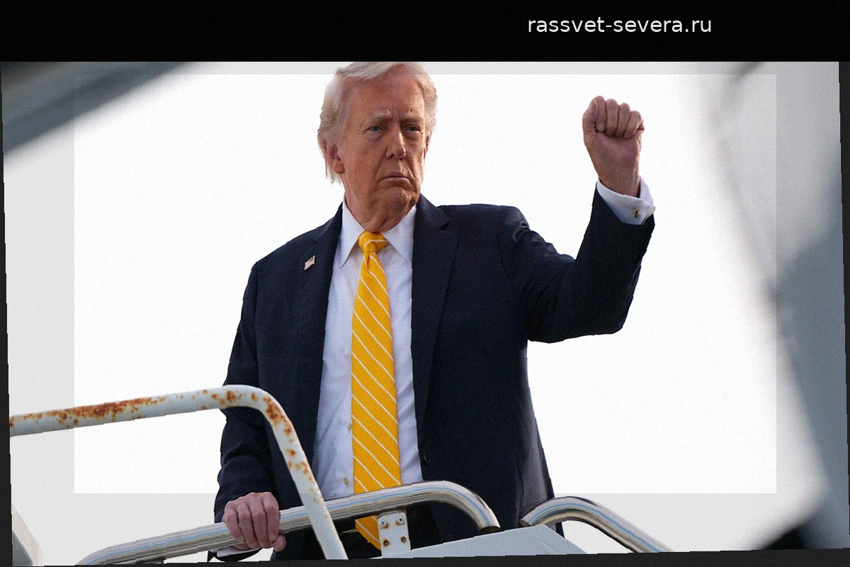 Трамп планирует масштабный вывод американских войск из Германии