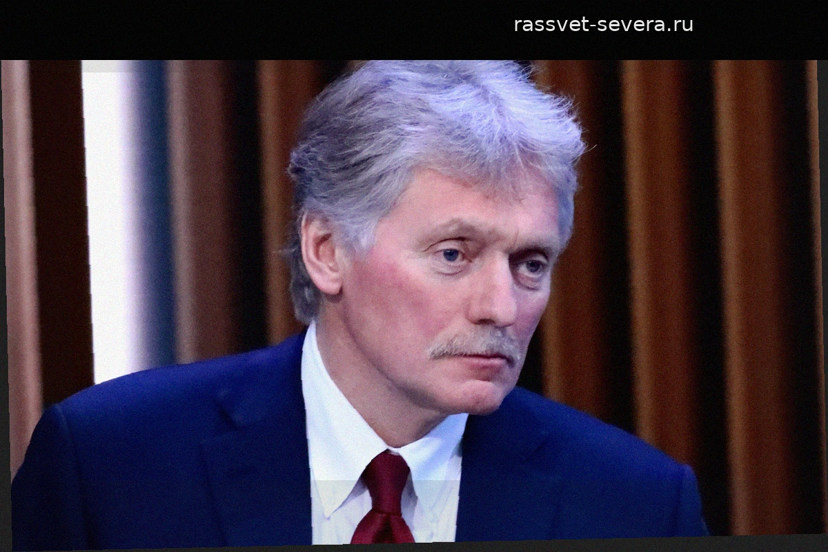 Ветераны СВО в Госдуме: Кремль о роли новых депутатов