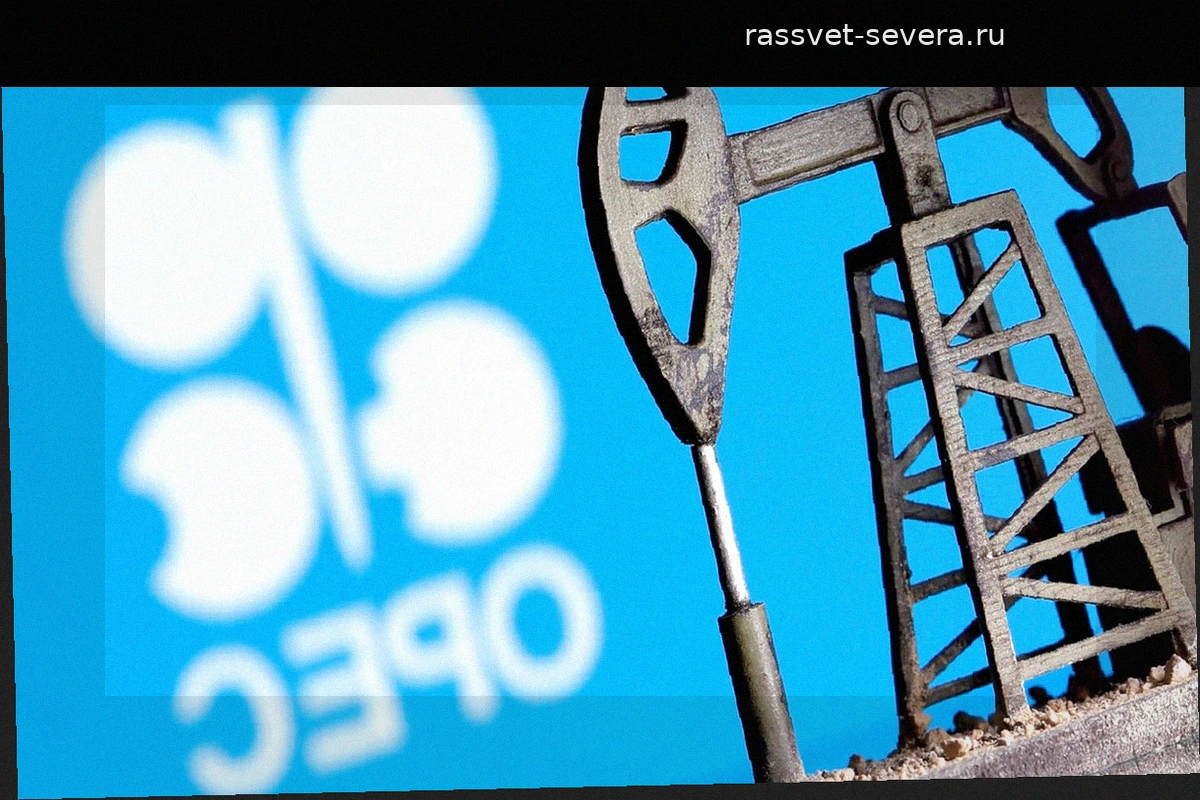 Эмираты разрывают отношения с ОПЕК: конец эпохи и новый передел нефтяного рынка