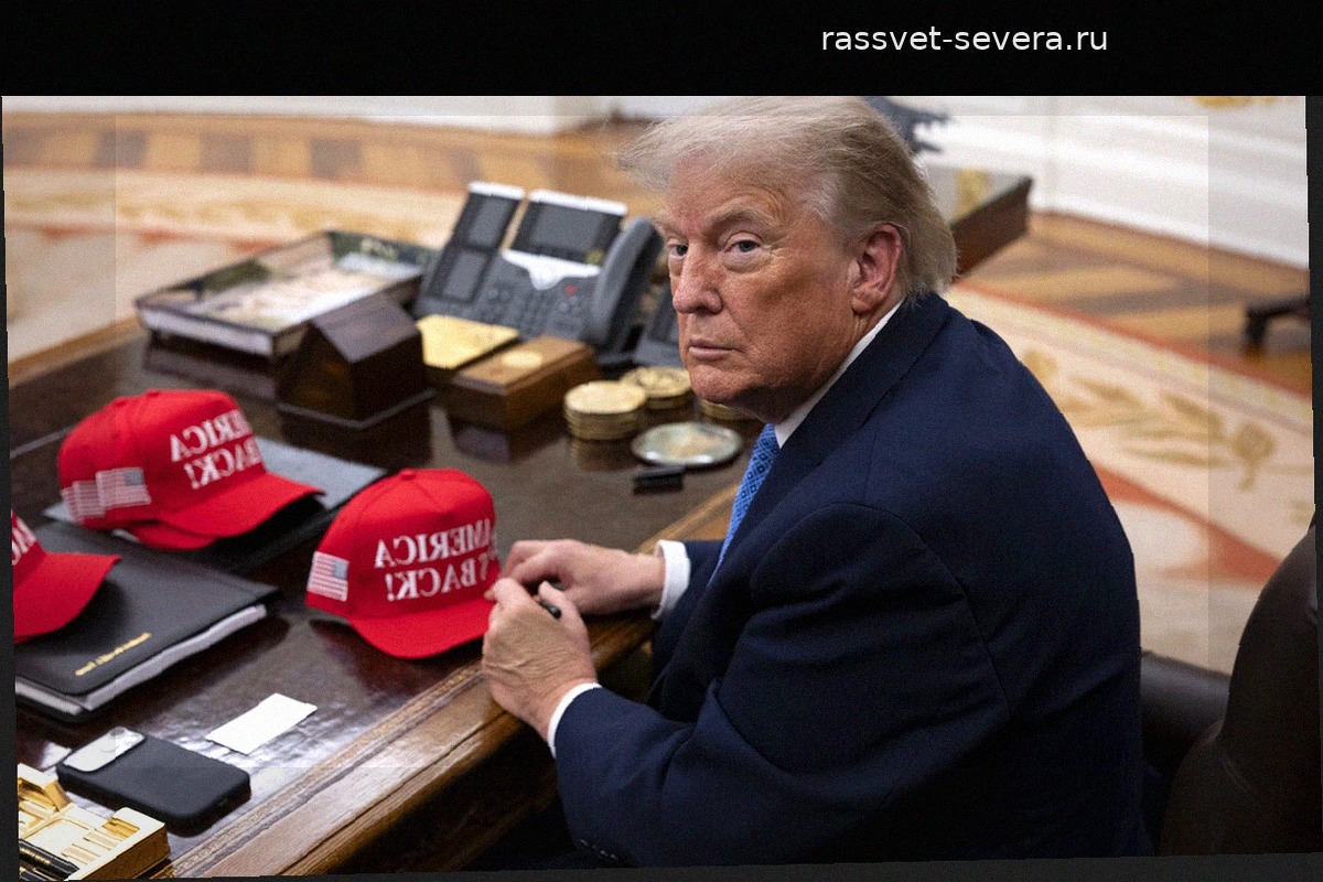 Анонсирована личная встреча Дональда Трампа и Владимира Зеленского в Турции