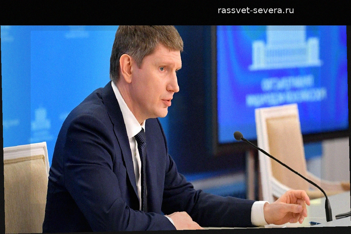 Решетников допустил поправки в закон о платформенной экономике
