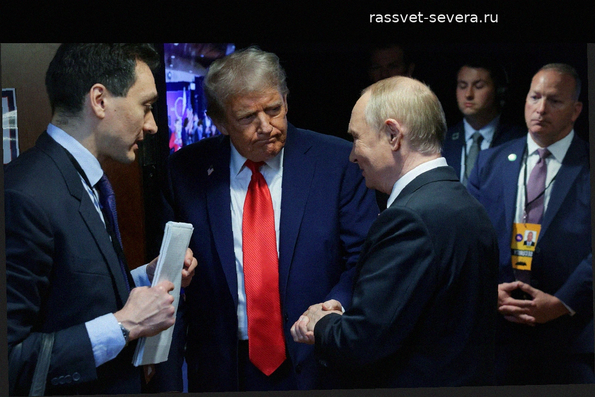 В Госдуме оценили вероятность встречи Путина и Трампа по Украине