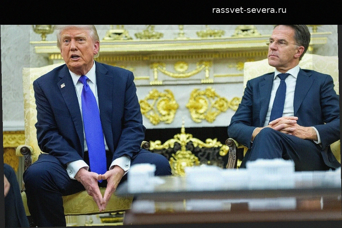 НАТО усилит давление на европейскую оборонку ради расположения Трампа