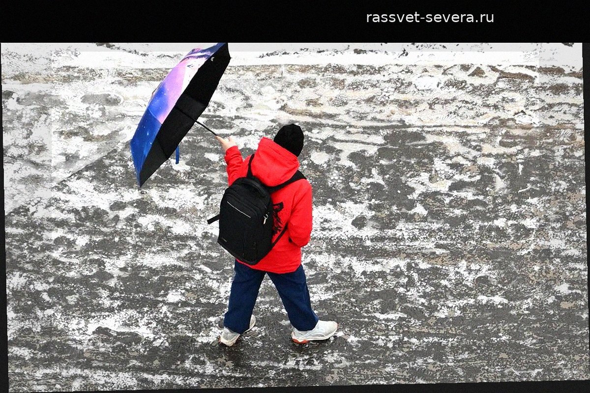 Снегопад в Москве: синоптики прогнозируют временный снежный покров в конце апреля