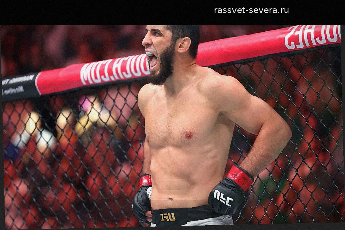 UFC анонсировал бой за временный титул в весе Махачева