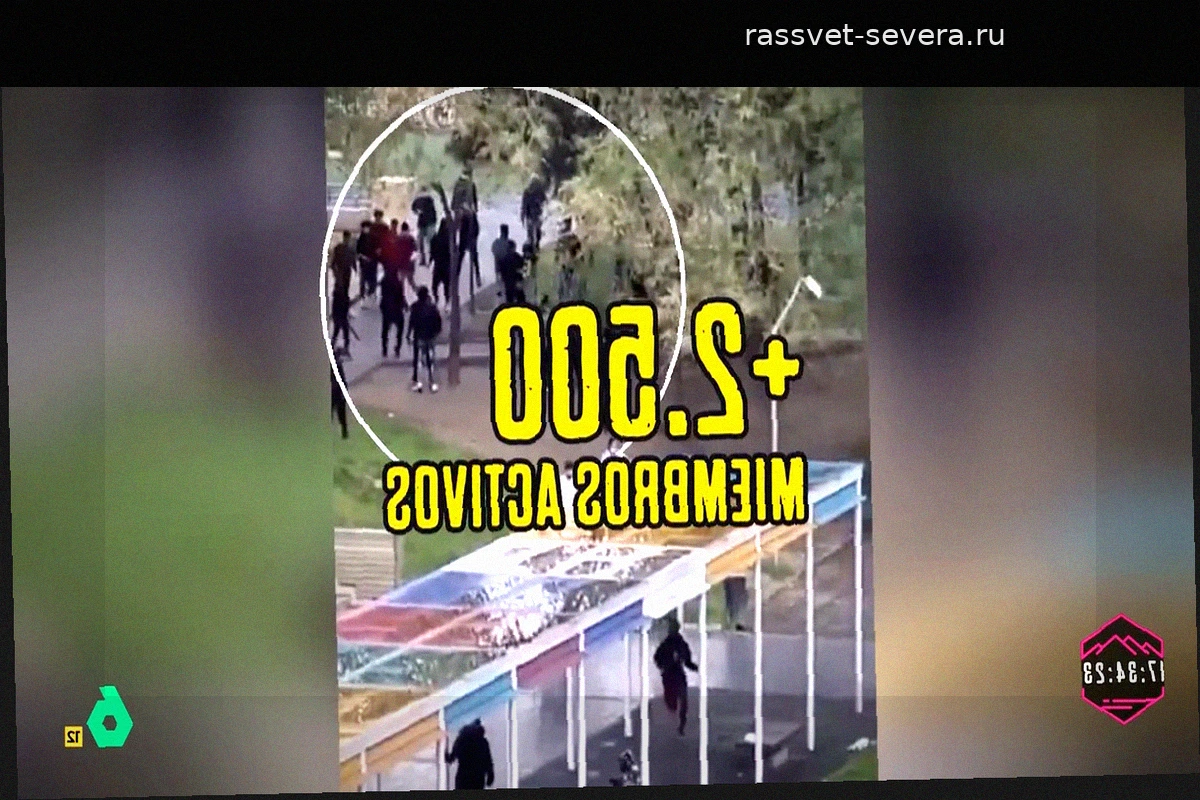 Эволюция уличных банд: от подростковой агрессии к профессиональному криминалитету