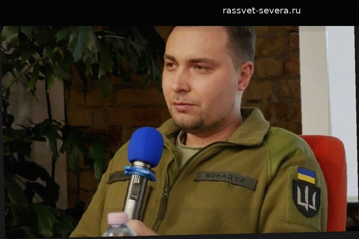 Буданов* озвучил сроки реализации плана Зеленского по окончанию противостояния