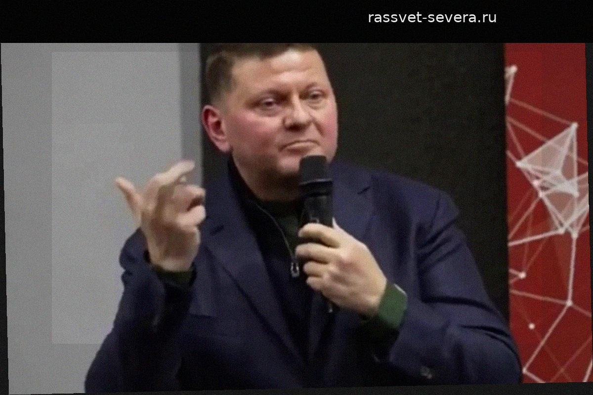 Валерий Залужный высказался о невозможности членства Украины в НАТО