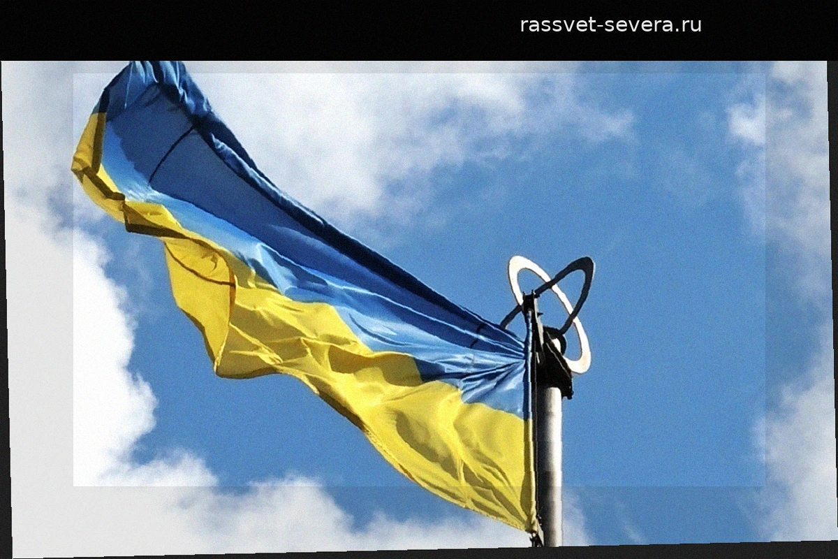 Мендель обвинила Зеленского в извлечении выгоды из конфликта на Украине