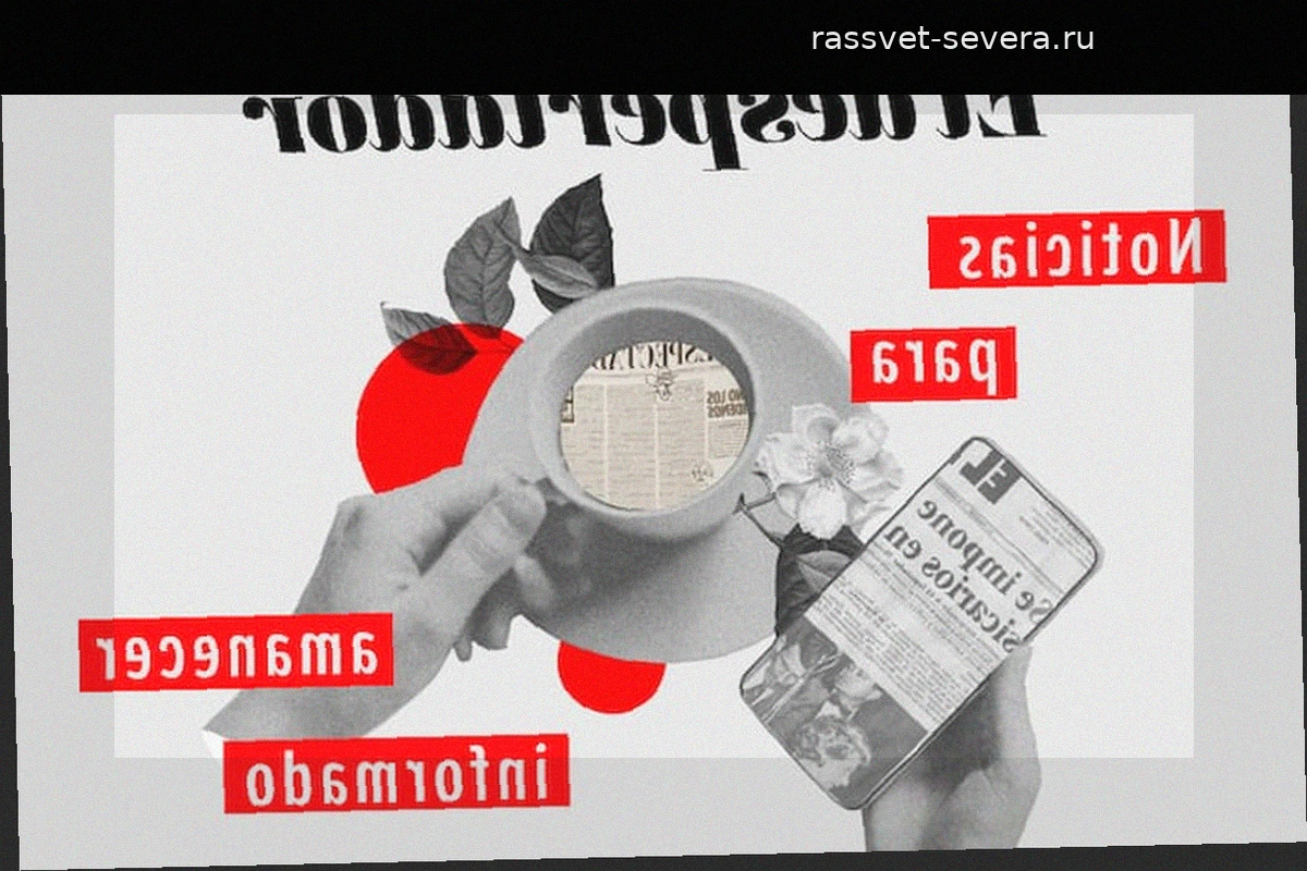 Главные новости дня: расследования CNE, экономические прогнозы и транспортные проекты
