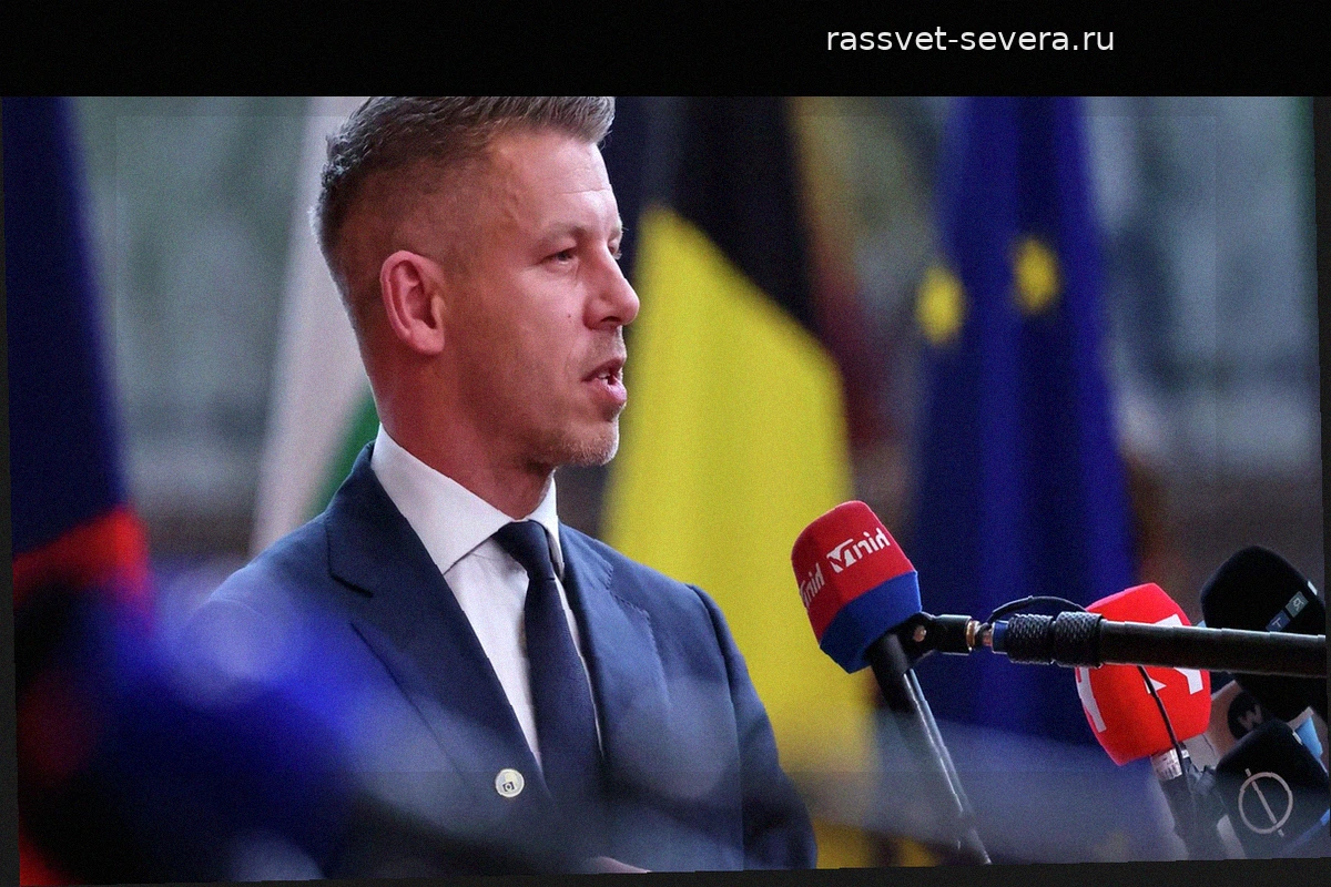 Петер Мадьяр согласился на лишение депутатской неприкосновенности