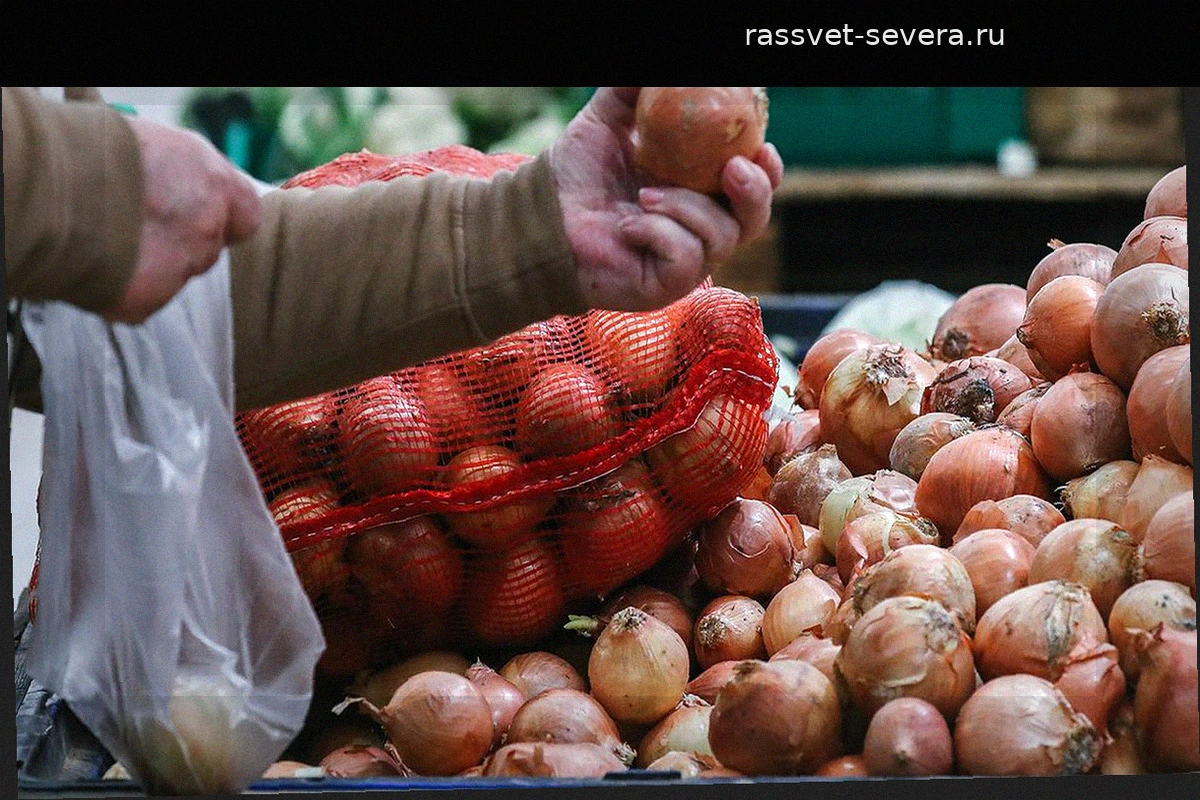 Перспективы инвестиций в российский продуктовый ритейл: сравнение лидеров рынка