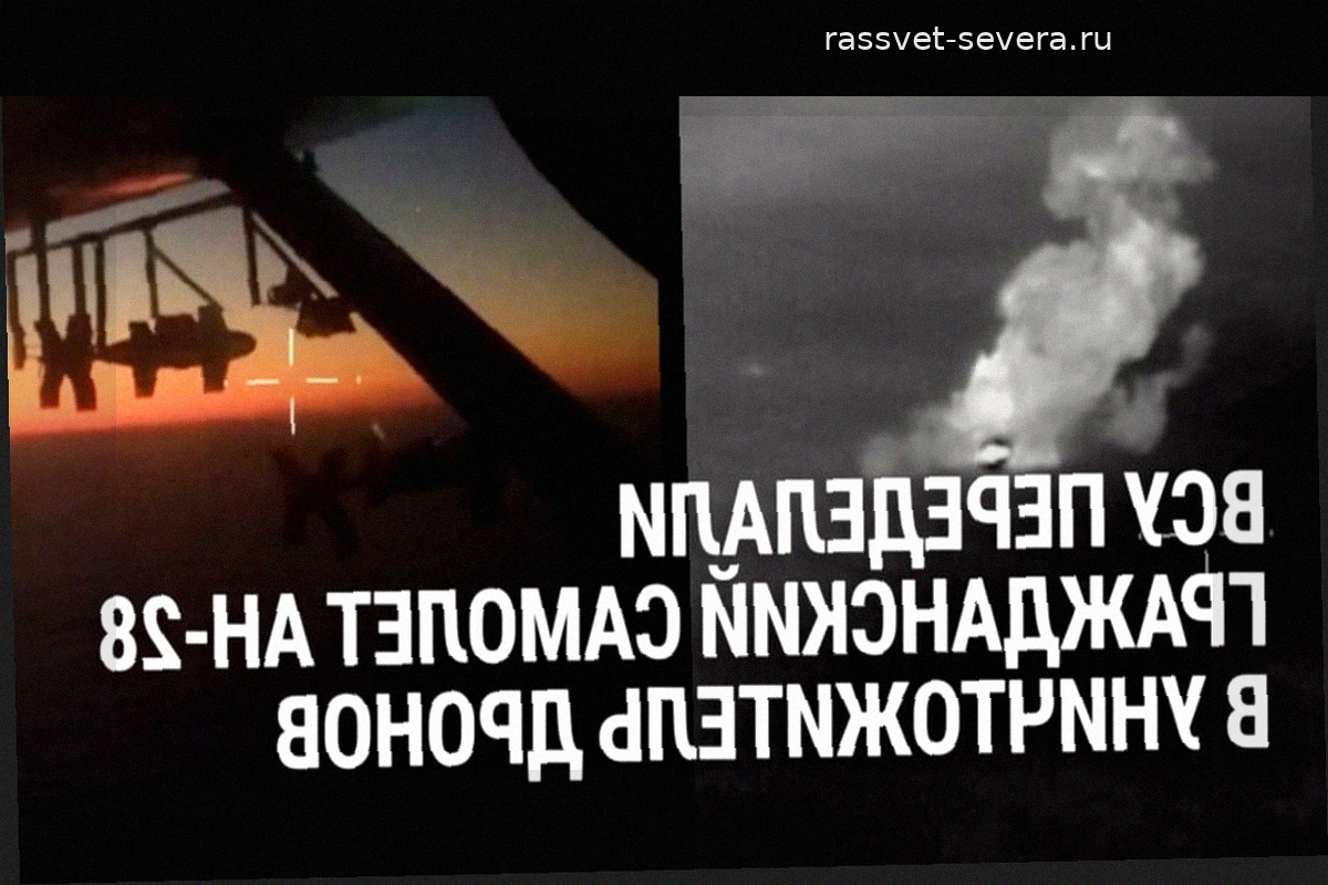Воздушный охотник: как украинский Ан-28 стал перехватчиком беспилотников