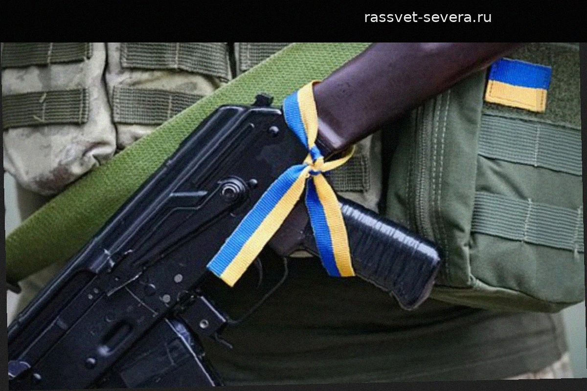 Депутат Рады выразил тревогу из-за возможной мобилизации женщин на Украине