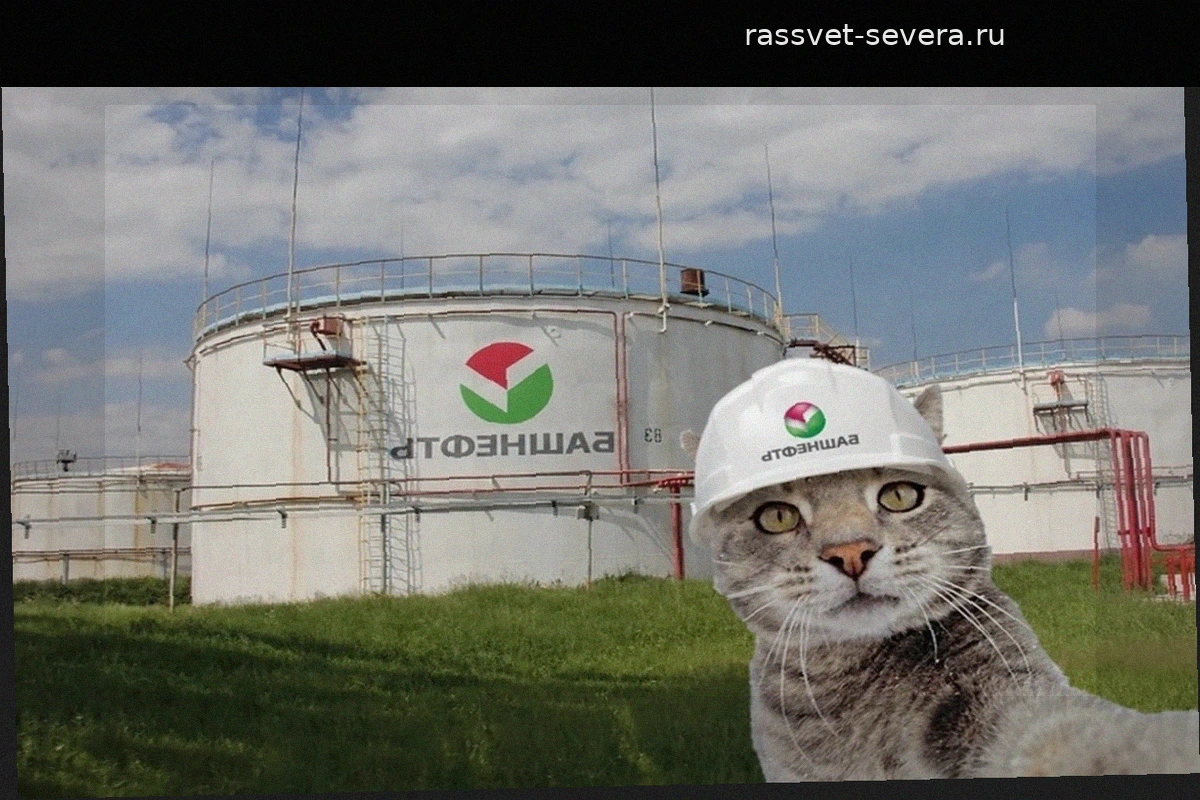 Инвестиционная идея в «Башнефти» под угрозой: что означает выход Башкирии из капитала компании