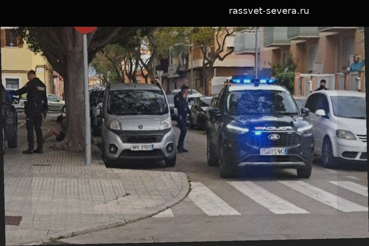 В Пальме судят мигранта за попытку убийства штопором из-за сексуального отказа