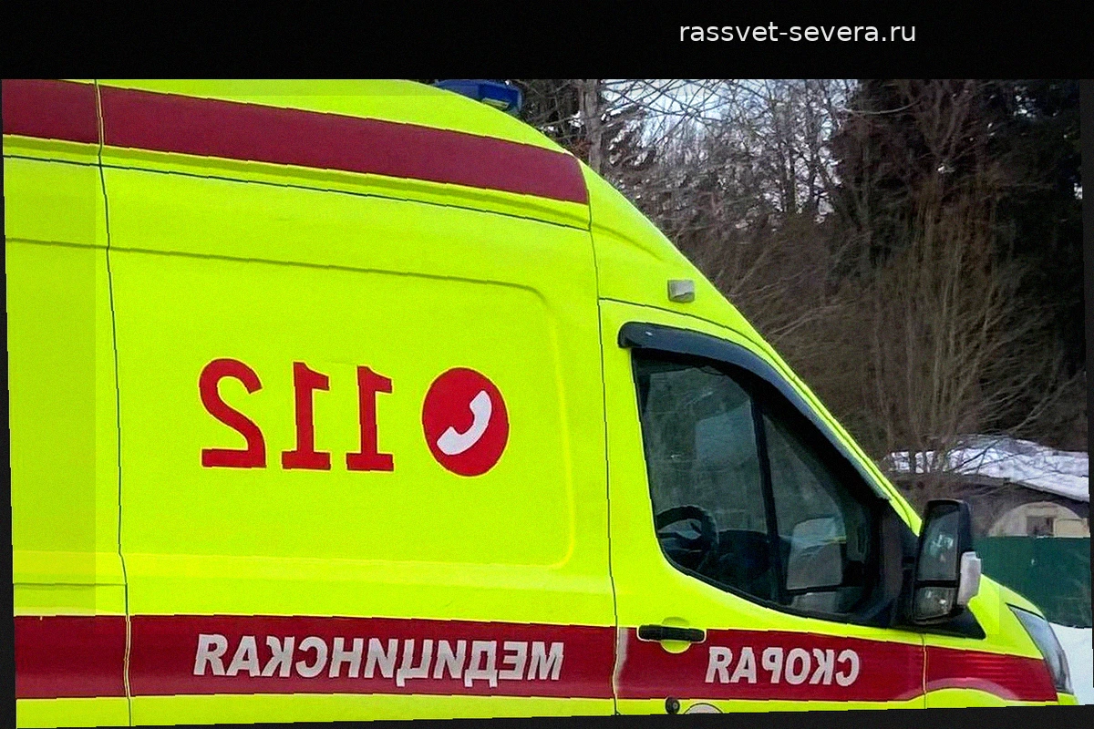 Трагедия в Брянской области: мирная жительница погибла при обстреле
