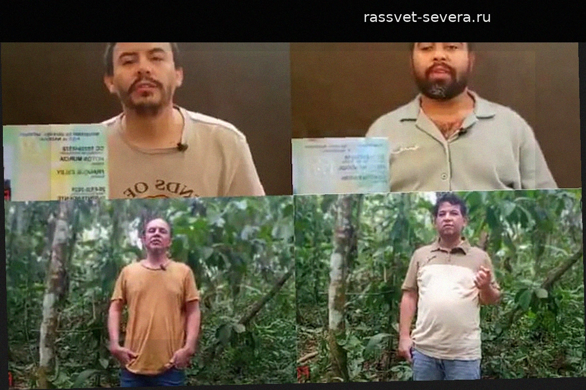 Власти Колумбии требуют от АНО ускорить освобождение четырех похищенных госслужащих