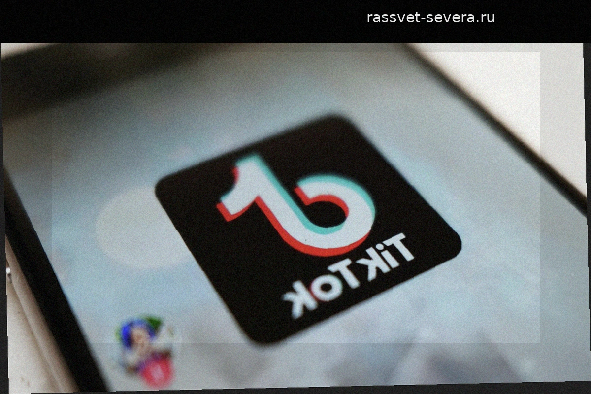 Google и TikTok оштрафовали на 20 миллионов рублей за нарушение закона о «приземлении»
