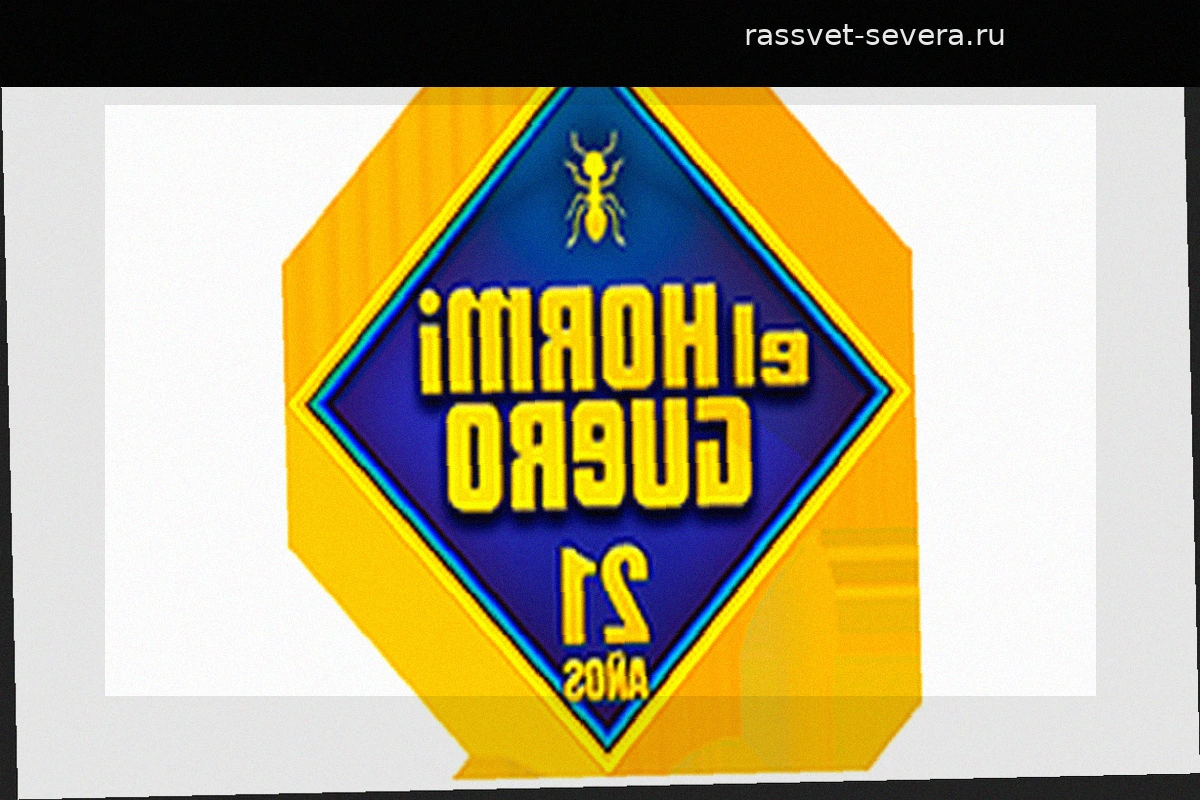 Хуан Вивас в эфире El Hormiguero: Сеута сохраняет стойкость во время миграционного кризиса
