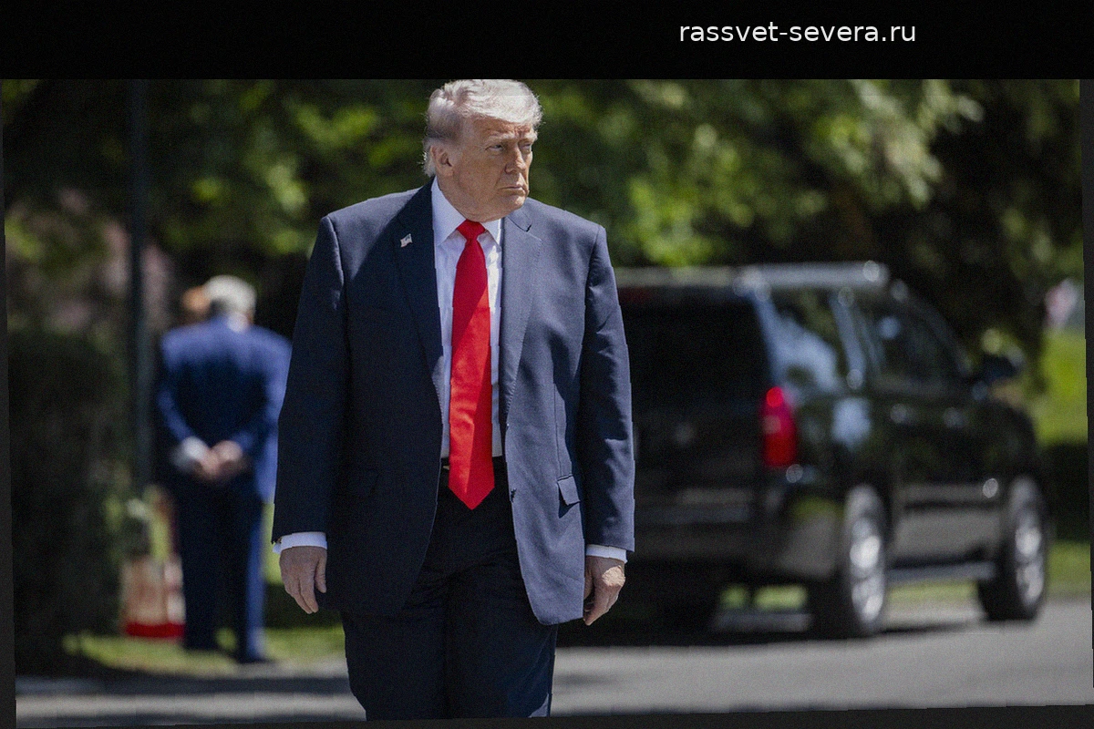 В Германии увидели в действиях Трампа послание для Кремля