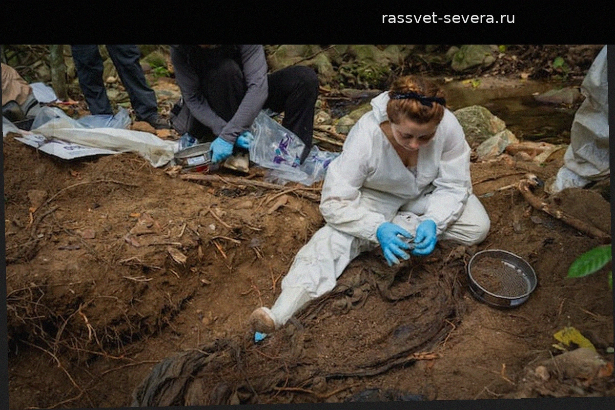 Как ищут пропавших без вести в разгар войны в Сьерра-Невада-де-Санта-Марта