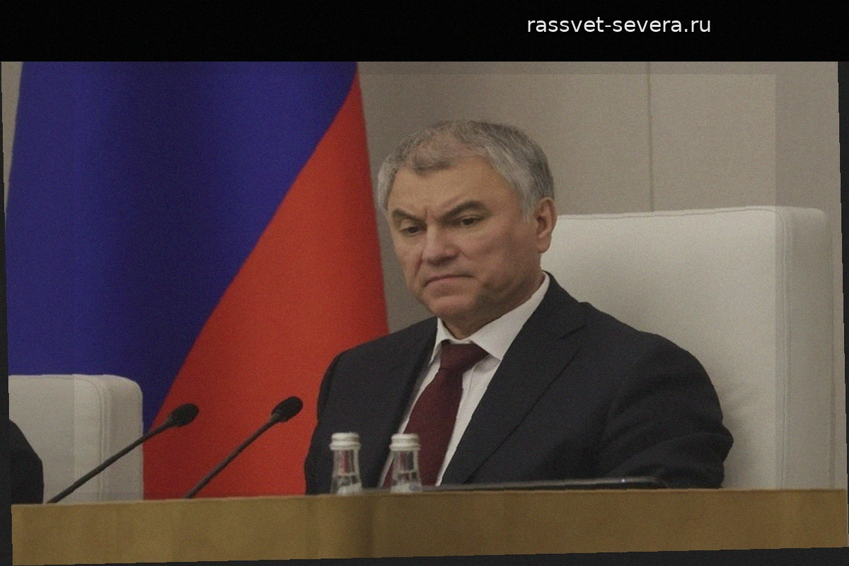 Вячеслав Володин назвал Фридриха Мерца «недоканцлером»