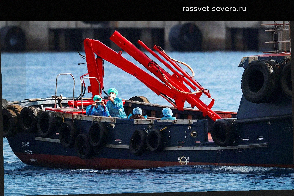 Пассажиров круизного лайнера MV Hondius эвакуируют из-за вспышки хантавируса