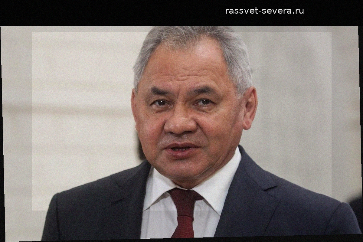 Сергей Шойгу предупредил о внешних вызовах для безопасности государств БРИКС