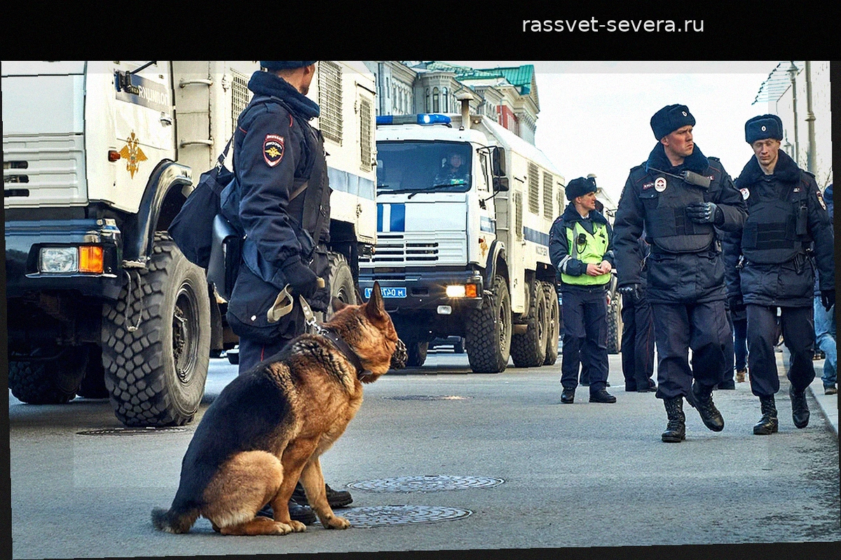 В Москве задержан подозреваемый в убийстве и расчленении