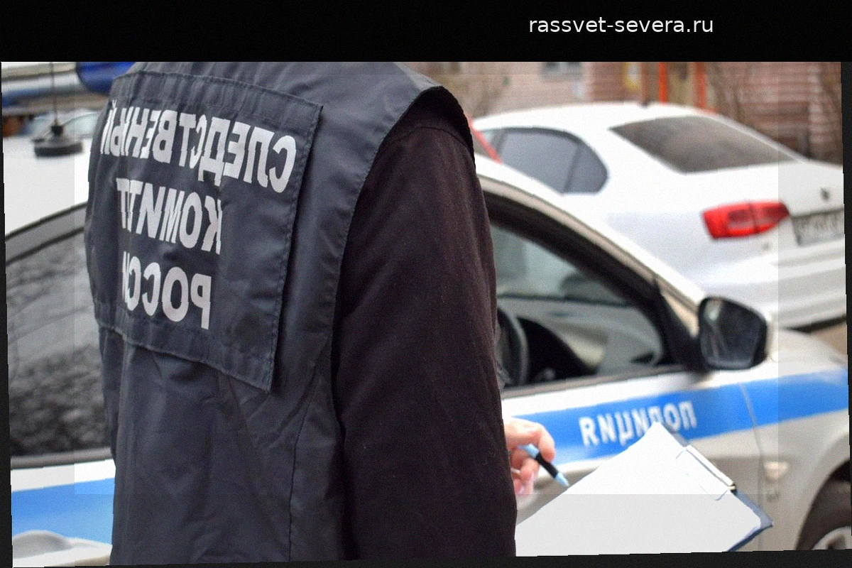 В Петербурге устанавливают причины смерти семилетних близнецов