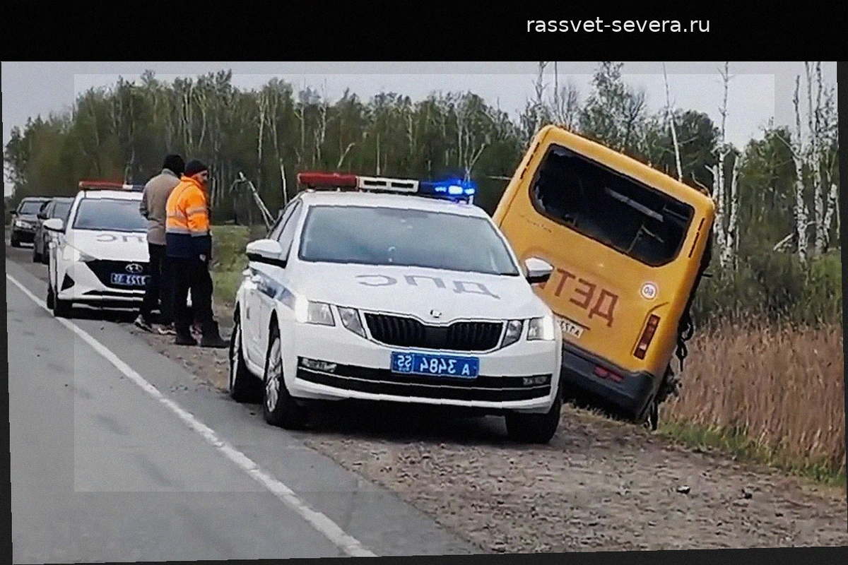 Стало известно о самочувствии детей, пострадавших в ДТП со школьным автобусом под Омском