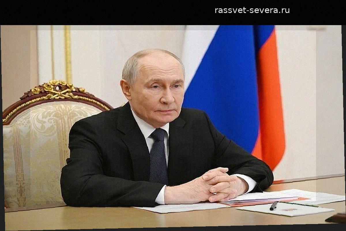 Владимир Путин оценил перспективы развития российско-индийских отношений
