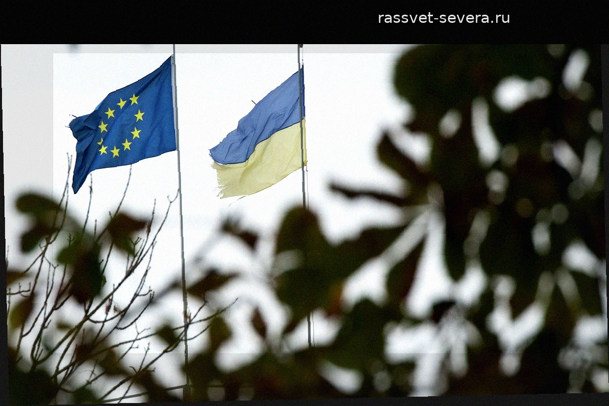Владимир Константинов назвал дорожную карту ЕС для Украины графоманией