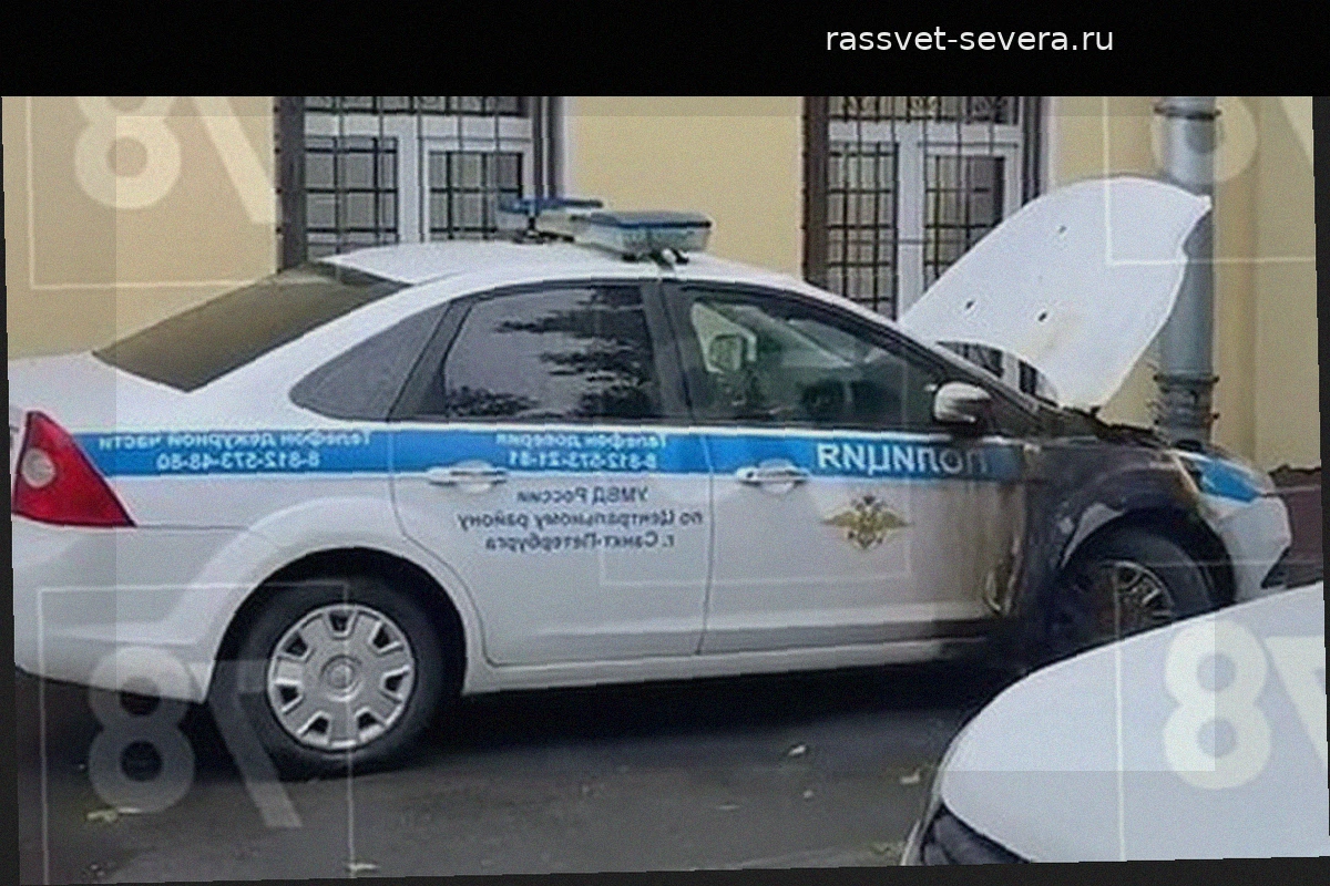 В Петербурге 14-летняя школьница подожгла полицейские машины по указке мошенников