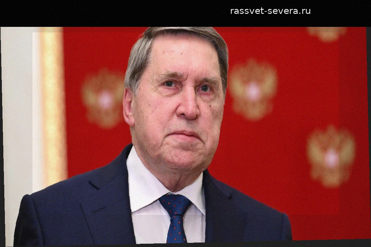 Си Цзиньпин может организовать встречу Путина и Трампа на саммите АТЭС
