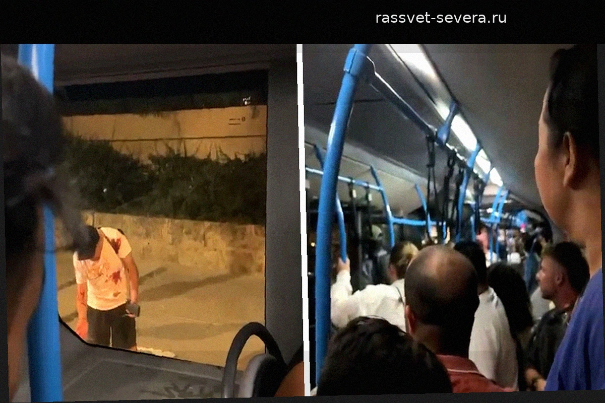 Кровавая драка в автобусе EMT в Пальме: мужчина получил ножевые ранения возле Palma Aquarium