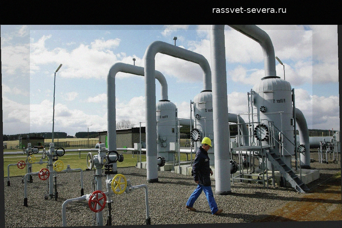 Германия планирует заместить государственные закупки газа частными поставками и СПГ