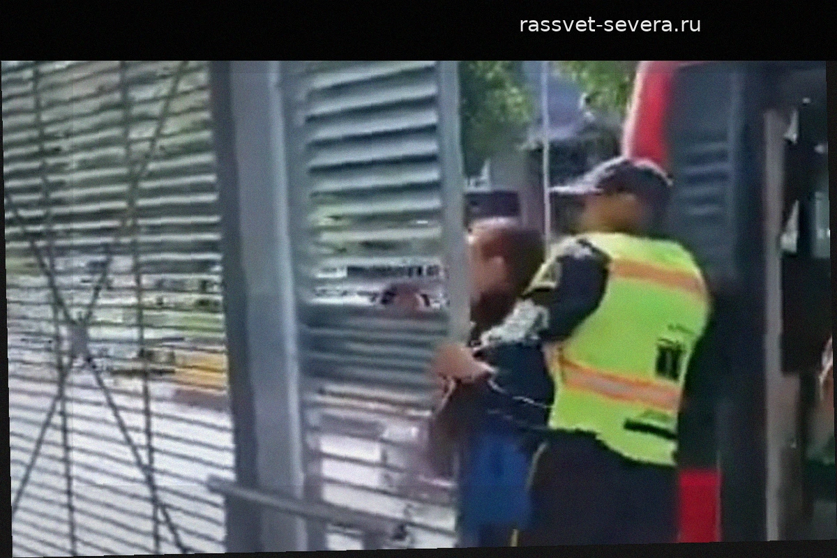 Женщина едва не попала под колеса автобуса, незаконно проникнув на станцию Transmilenio в Боготе