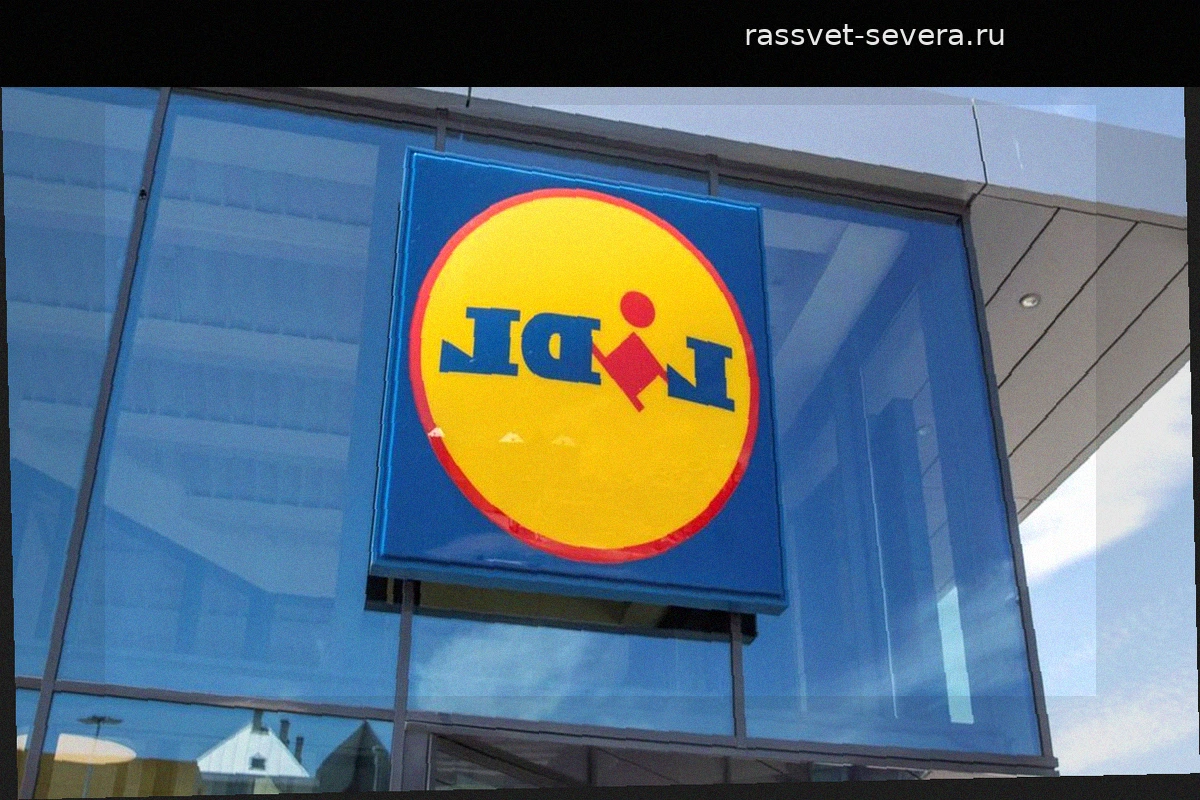 Lidl взрывает рынок, выпуская уникальную карбоновую ракетку для падел-тенниса стоимостью менее 60 евро