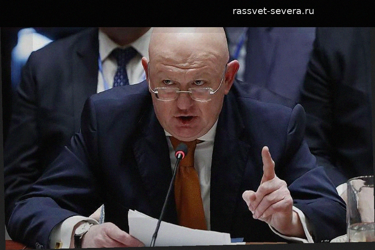Небензя: Россия ответит на провокации с беспилотниками из стран Балтии