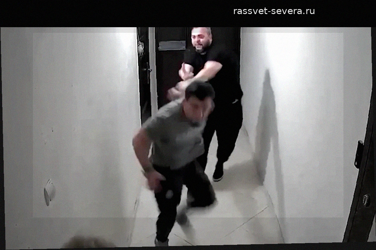 В Чеченской Республике инициирована проверка из-за инцидента с участием бойца ММА