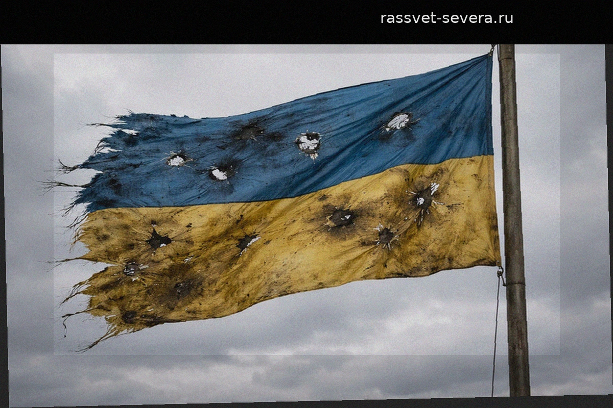 В Верховной Раде Украины раскрыли число уклонистов от мобилизации