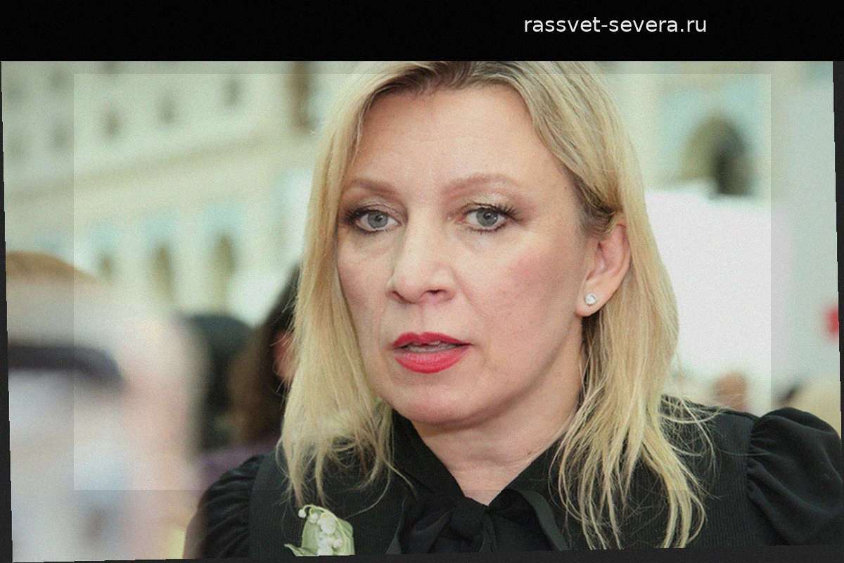 Захарова: Зеленский врал Западу об успехах ВСУ