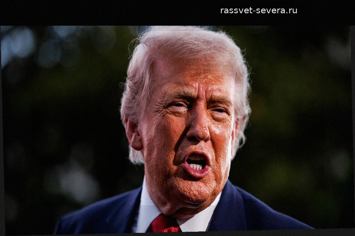 Выборы в США: Кампания возмездия – как Трамп устраняет своих критиков