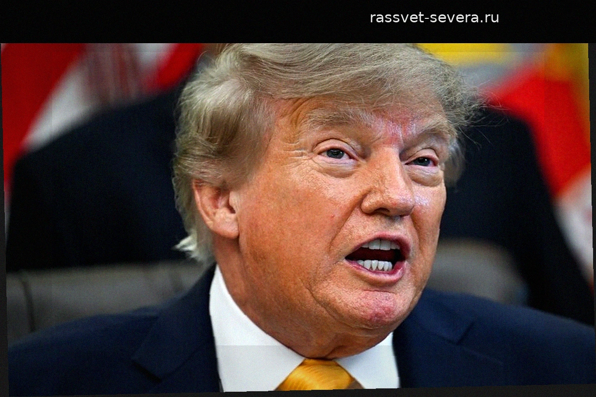 Дональд Трамп связал успех АдГ на выборах с миграционным кризисом в Германии