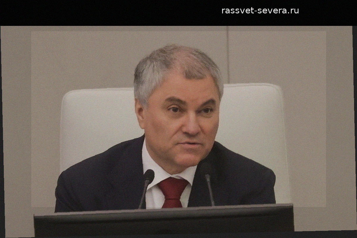 Вячеслав Володин раскритиковал Европу за замалчивание неонацизма