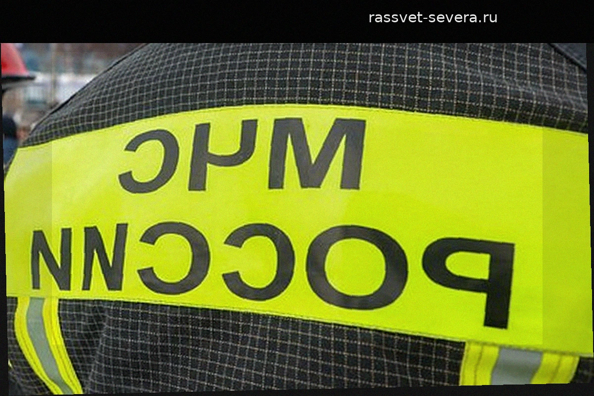 При пожаре в московской многоэтажке спасли 13 человек