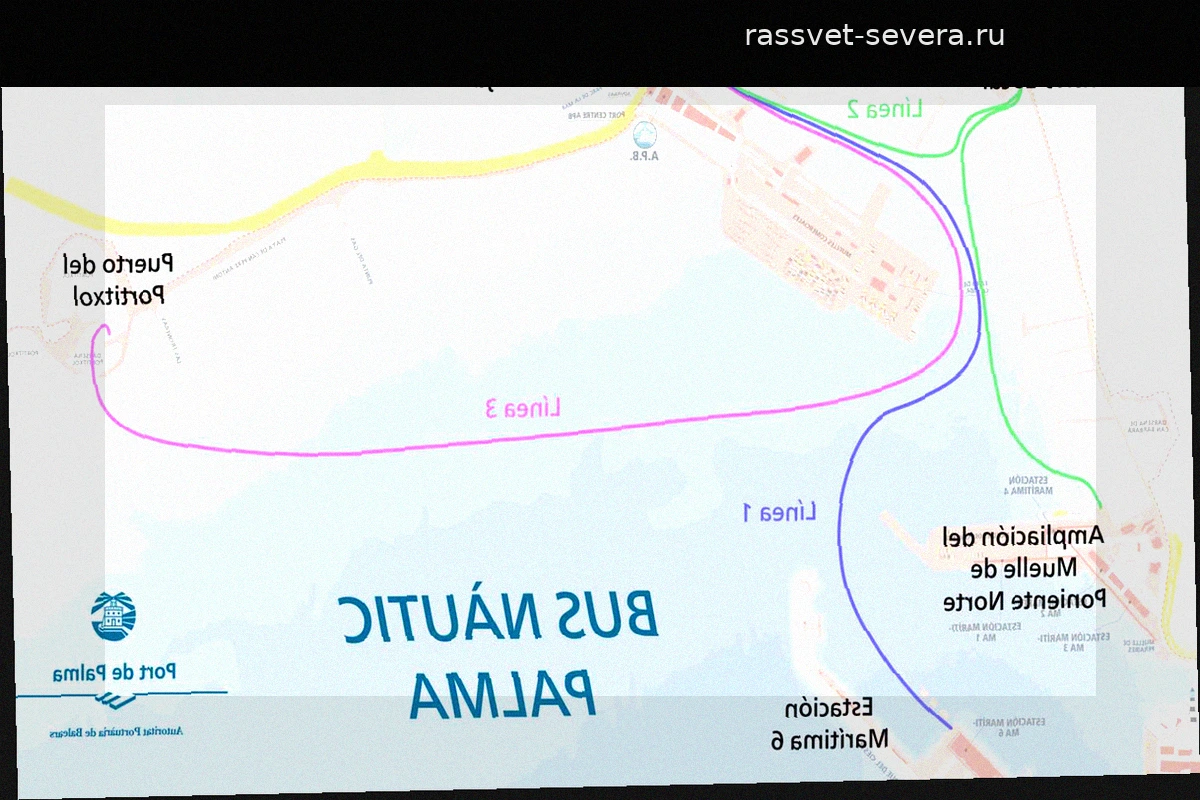 В Пальме снова ищут оператора морских автобусов после ухода TUI