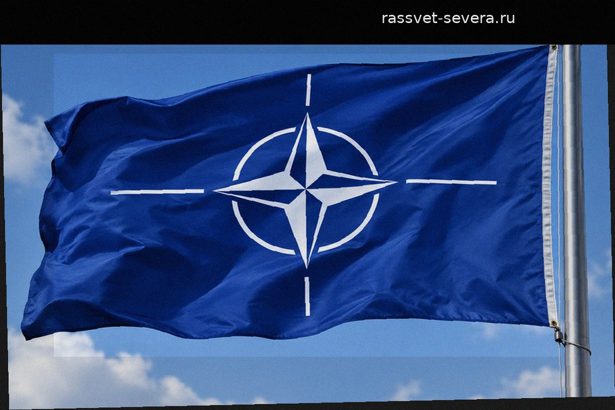 Рютте призвал НАТО наращивать военную поддержку Киева